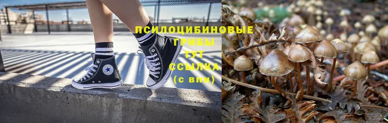 hydra ONION  Бийск  это формула  Псилоцибиновые грибы GOLDEN TEACHER 